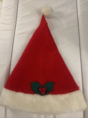 Christmas hat - christmas,